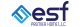 ESF International